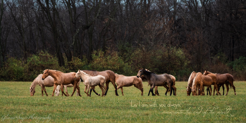 A herd of horses walking through field
