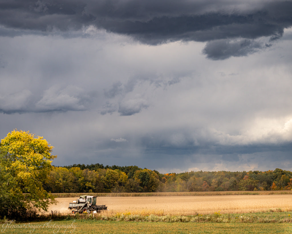 old combine harvesting beans with storm clouds in background