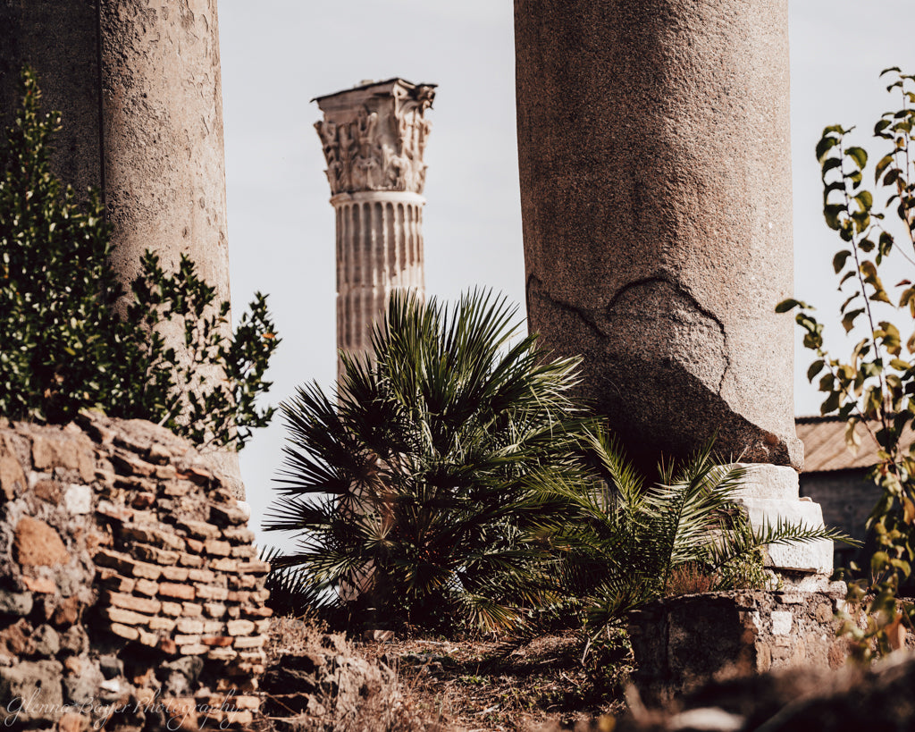 Ancient ruins of Rome with plants