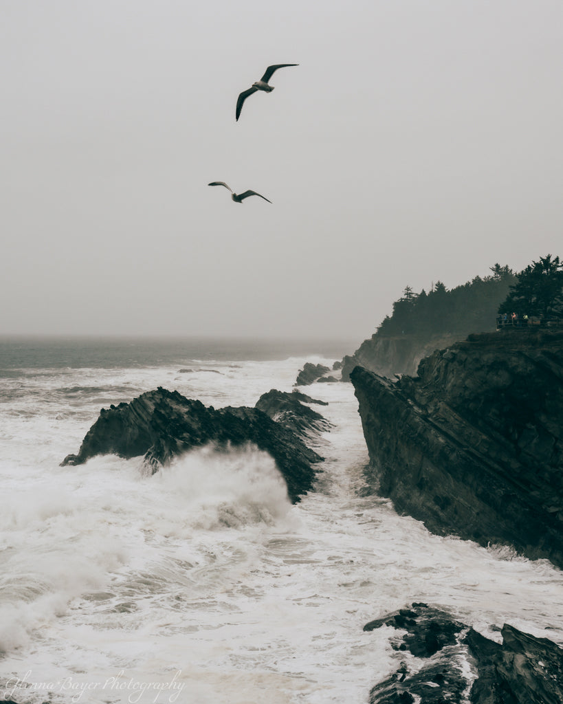 Ocean crashing into rocky coast line and seagulls flying