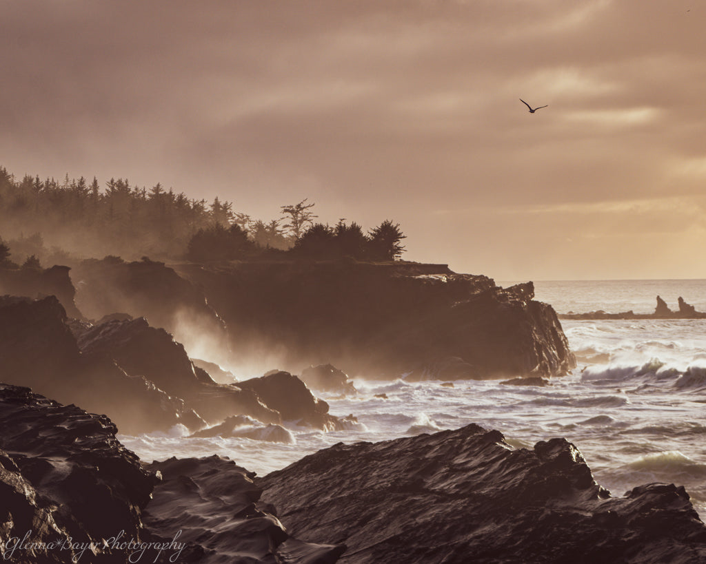moody Oregon coast at sunrise