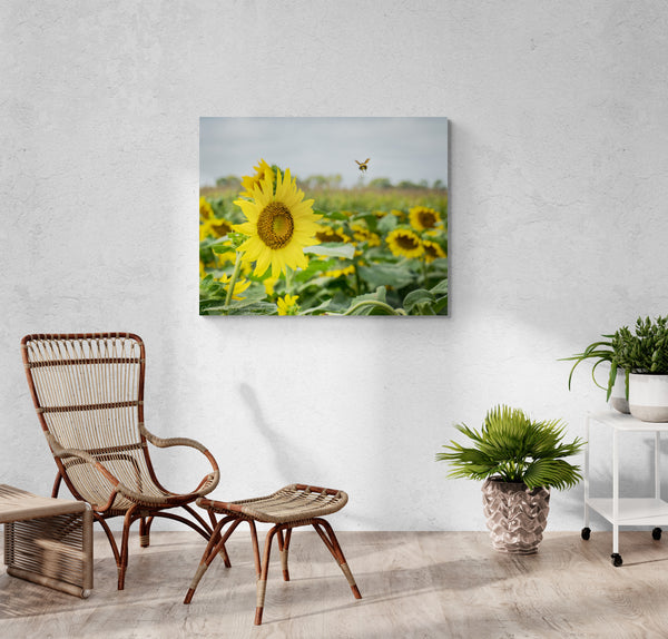 sunflower171707ページ Checkered Sunflowers Summer Large Oversized Mailbox Cover