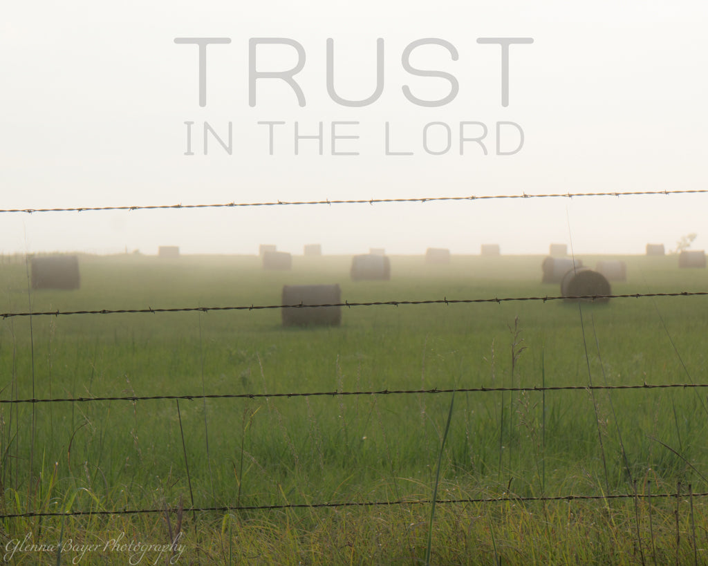 Hay bales in a green field with barbed wire fence on a foggy morning with words "Trust in the Lord"