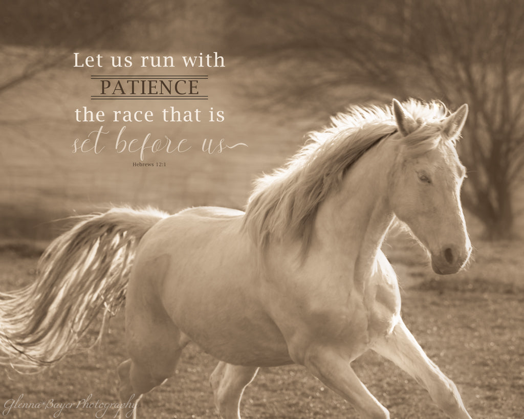 White horse galloping through field with scripture verse
