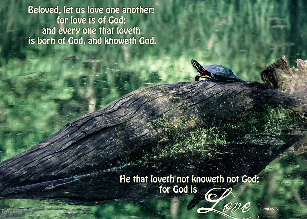 Turtle on log in pond with scripture verse