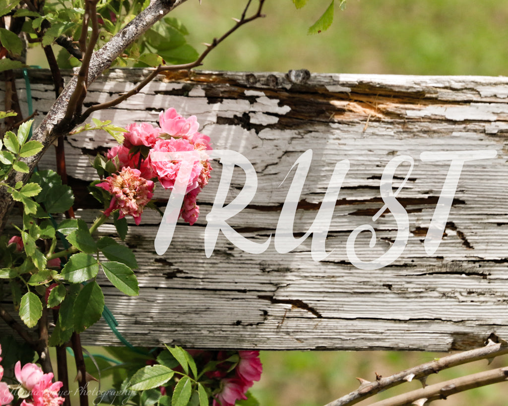 Rustic wood fence and pink flowers with word "Trust"