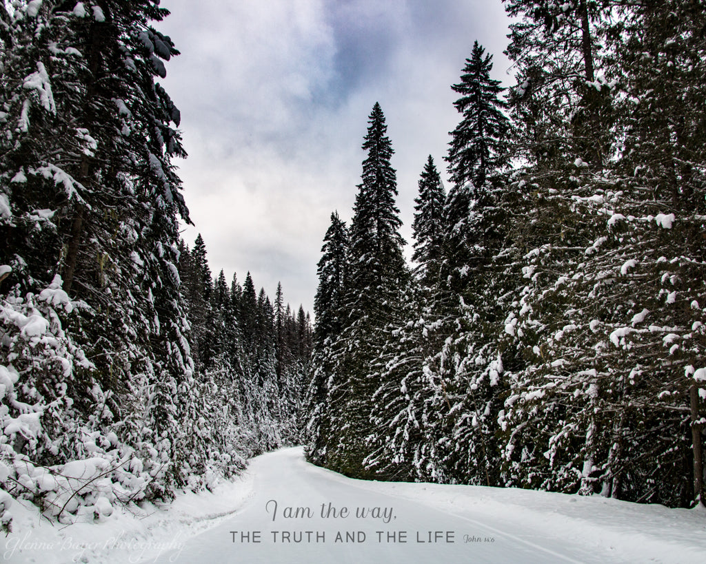 Snowy road through conifer trees in Idaho with scripture verse
