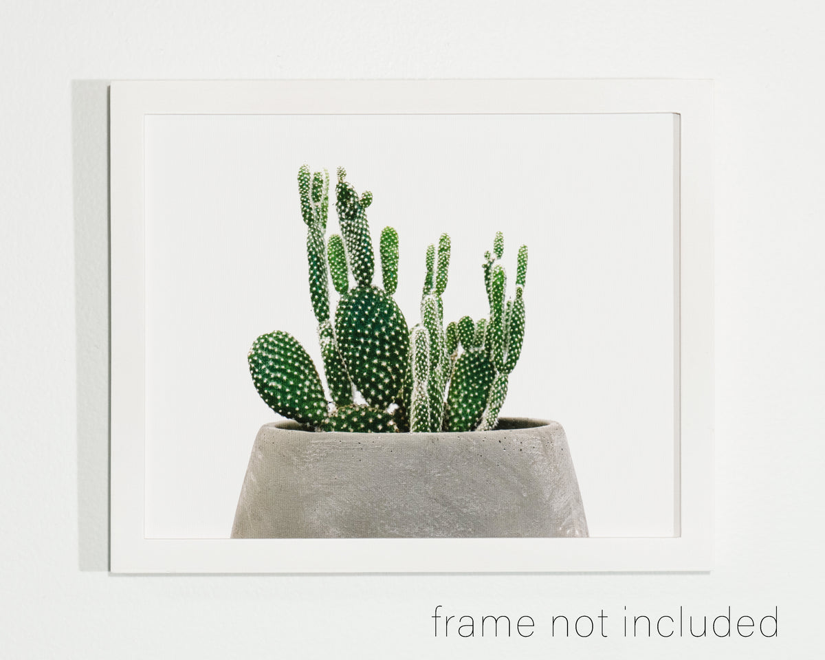 framed print of Bonny ear cactus in gray pot