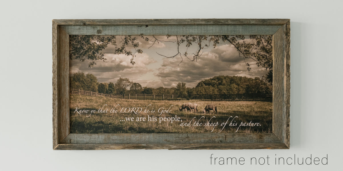 framed print of Flock of sheep in pasture with scripture verse