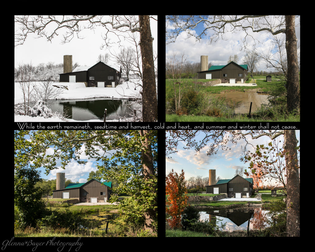 A four picture collage of a barn and pond in four seasons with scripture verse