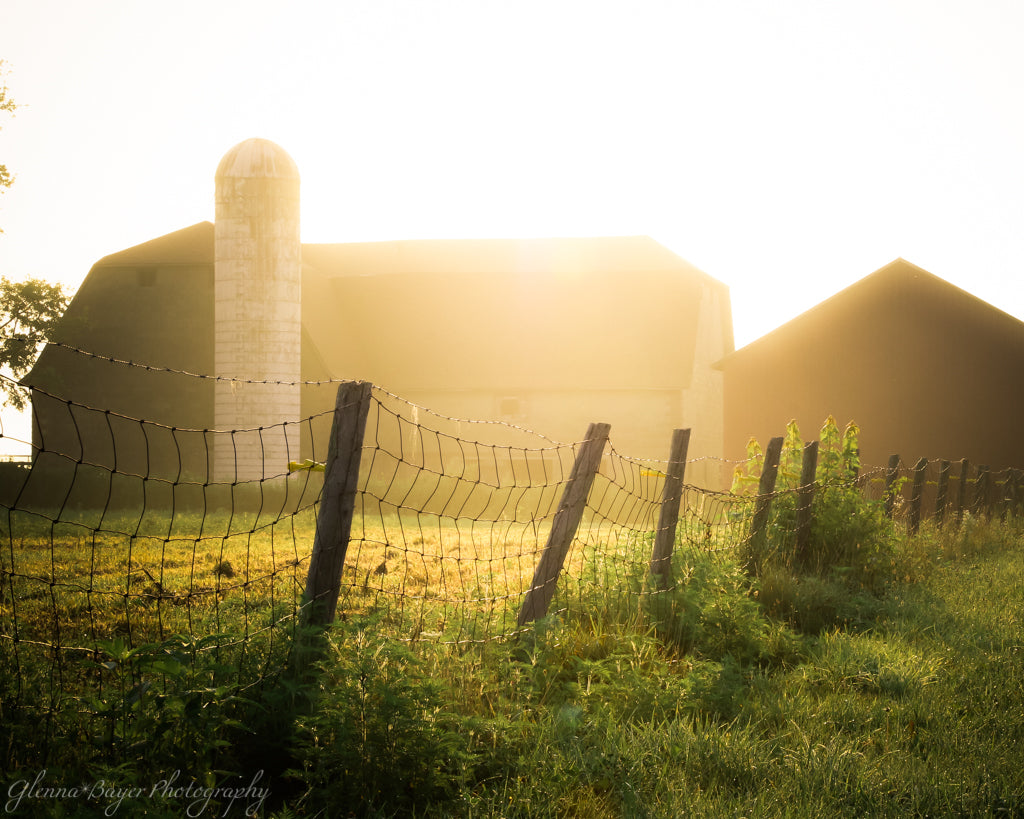 Fence row, pasture, and barns in a sunny morning glow