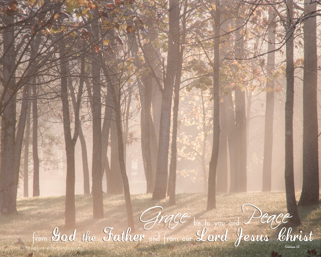 Trees on a foggy, sunny morning with scripture verse.