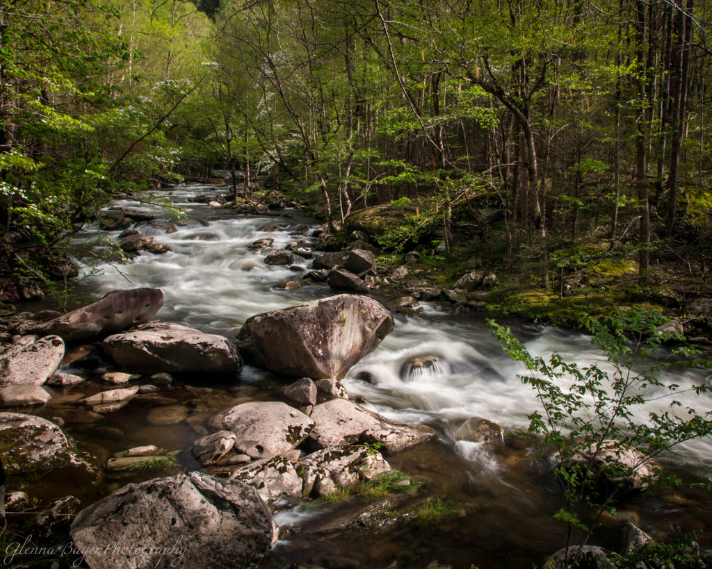 Smoky Mountain Stream flowing over rocks in summer