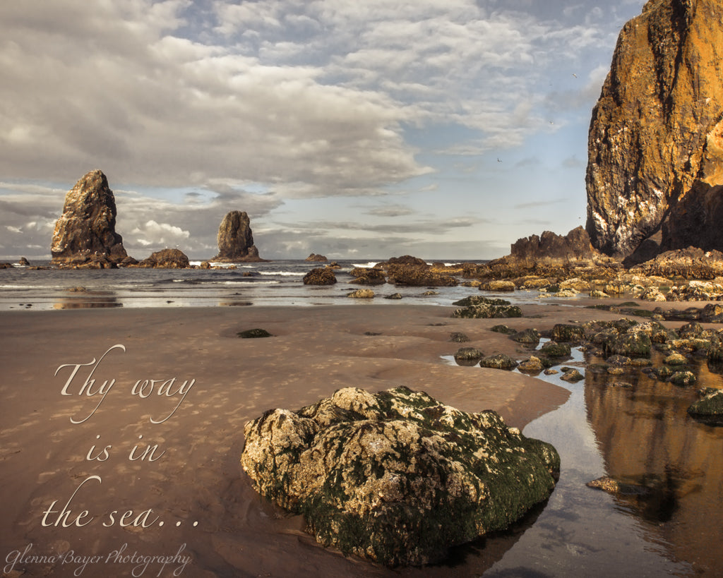 Sunrise on beach at Haystack Rock, Oregon with scripture verse