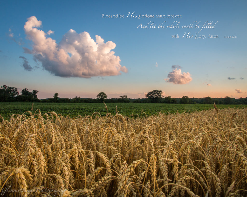 Wheat field and sunset in Ohio with scripture verse