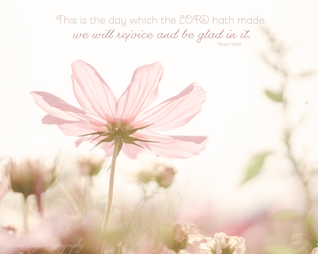 Pink flower with a blurred background and inspirational text on a light pink background
