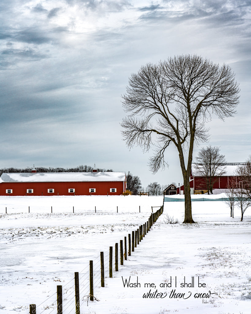 farm in the snow