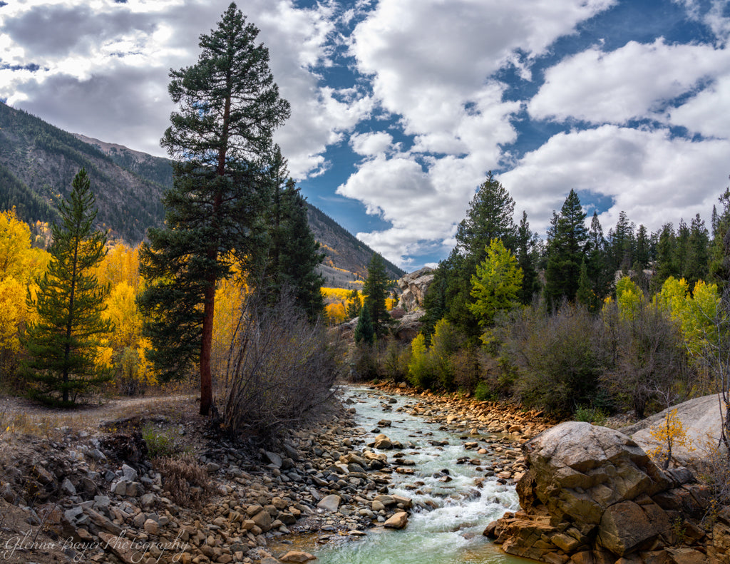 a rocky bed stream flowing through autumn trees with mountain in background