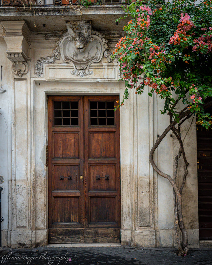 Antique door in rome