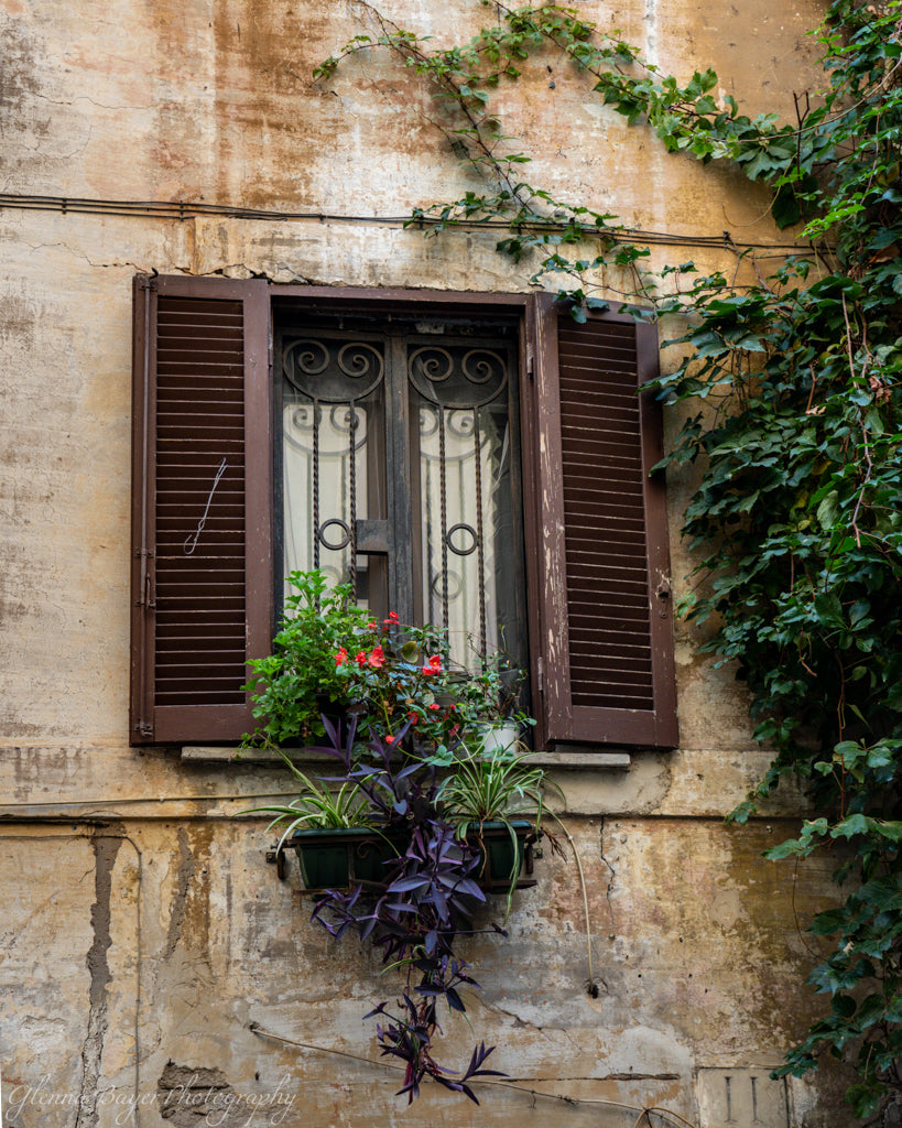 window with flower box on old builiding