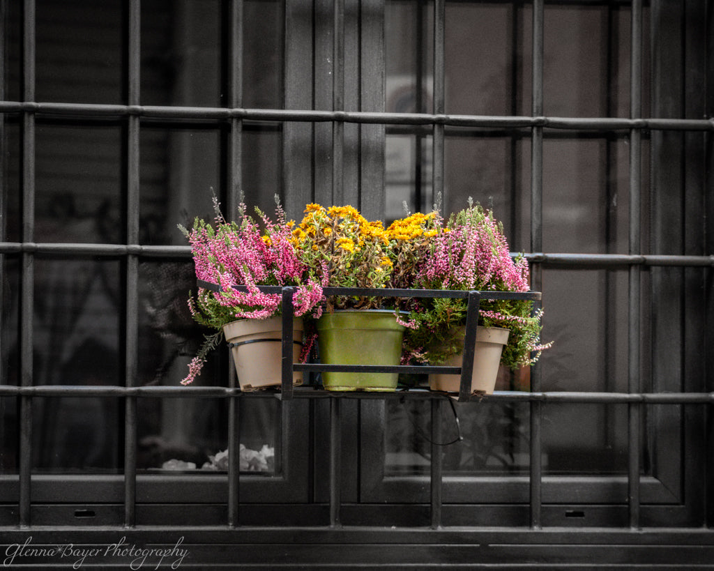 Flower box on black window