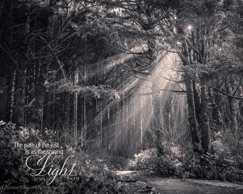 sunbeam shining on path in woods