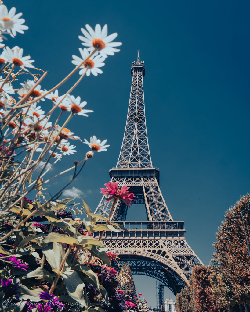 eiffel tower with flowers in foreground