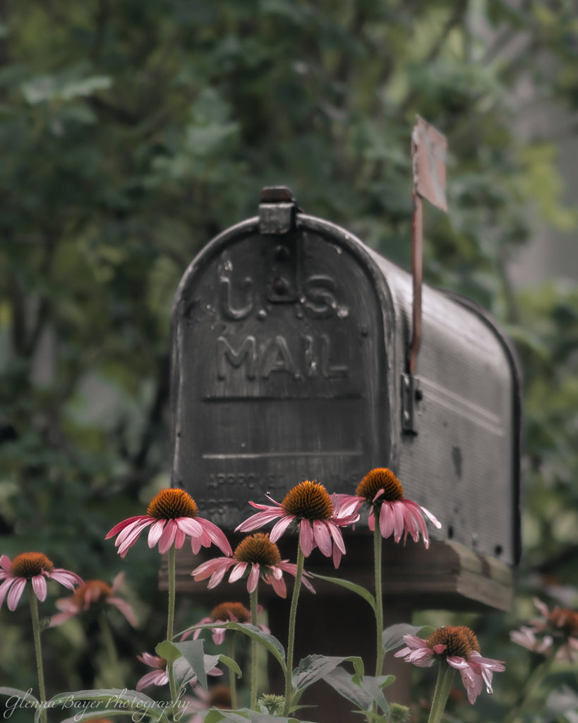 flowers in front of mailbox