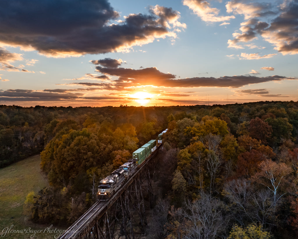 train through trees at sunrise