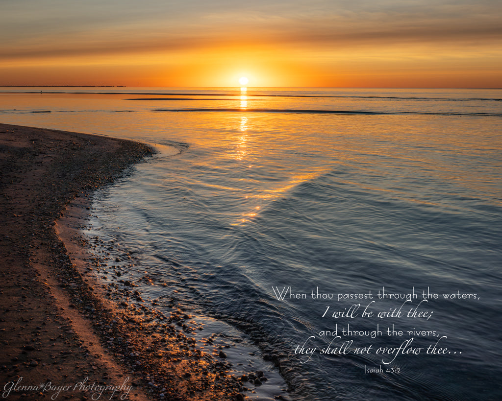 lake shore at sunset