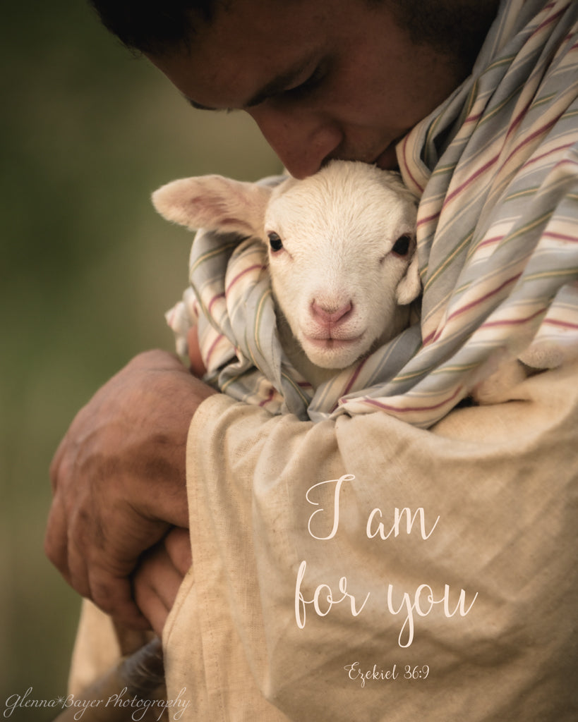Person holding and kissing a lamb with a blurred background