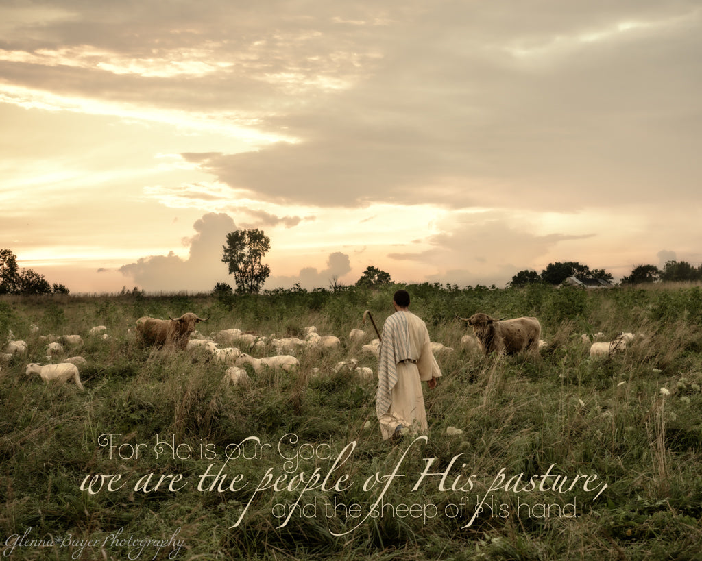 Man in a robe walking with sheep in a field under a cloudy sky