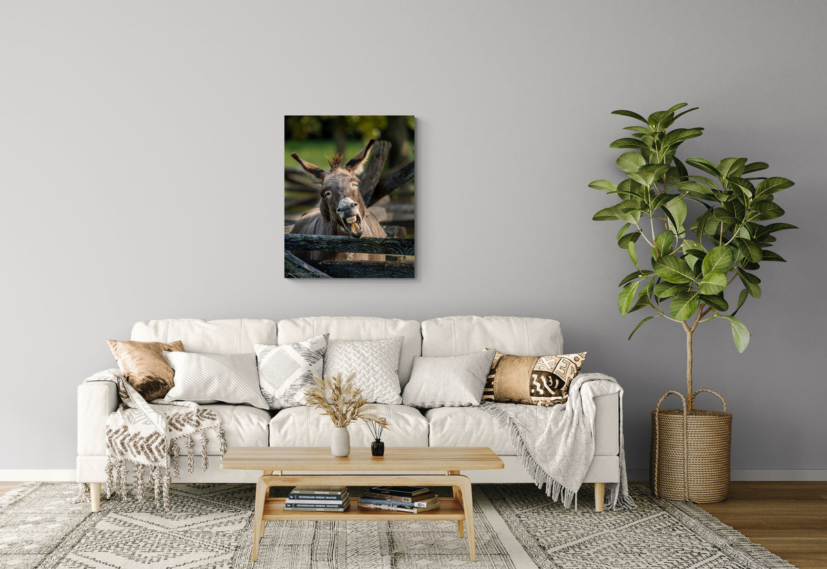  print displayed on wall in living room
