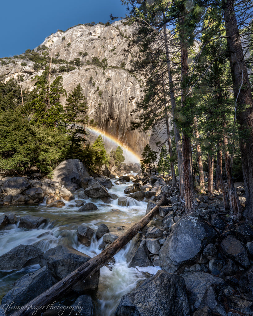 Rapids in a mountain stream with rainbow in mist and trees