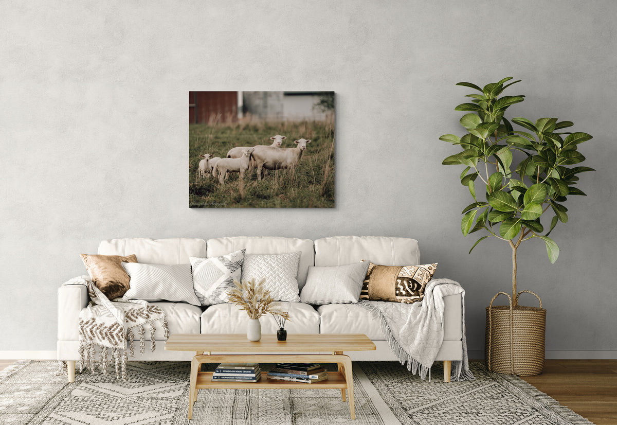  print displayed on wall in living room
