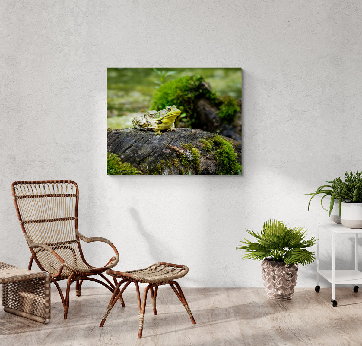 print displayed on wall in living room