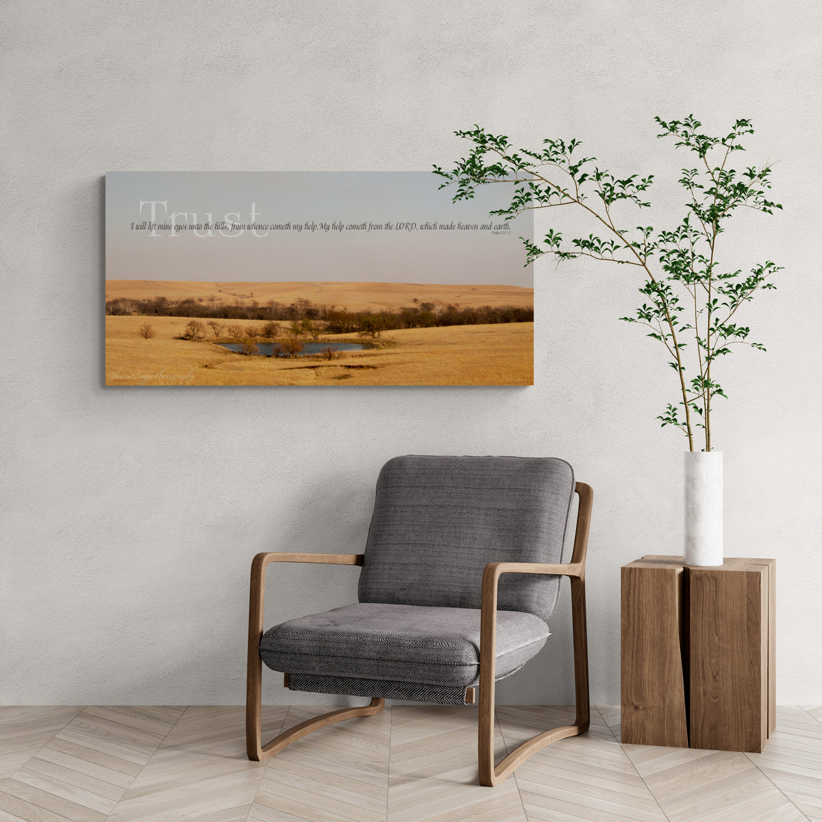 print displayed on wall in living room