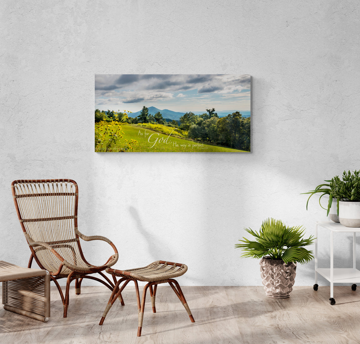 print displayed on wall in living room
