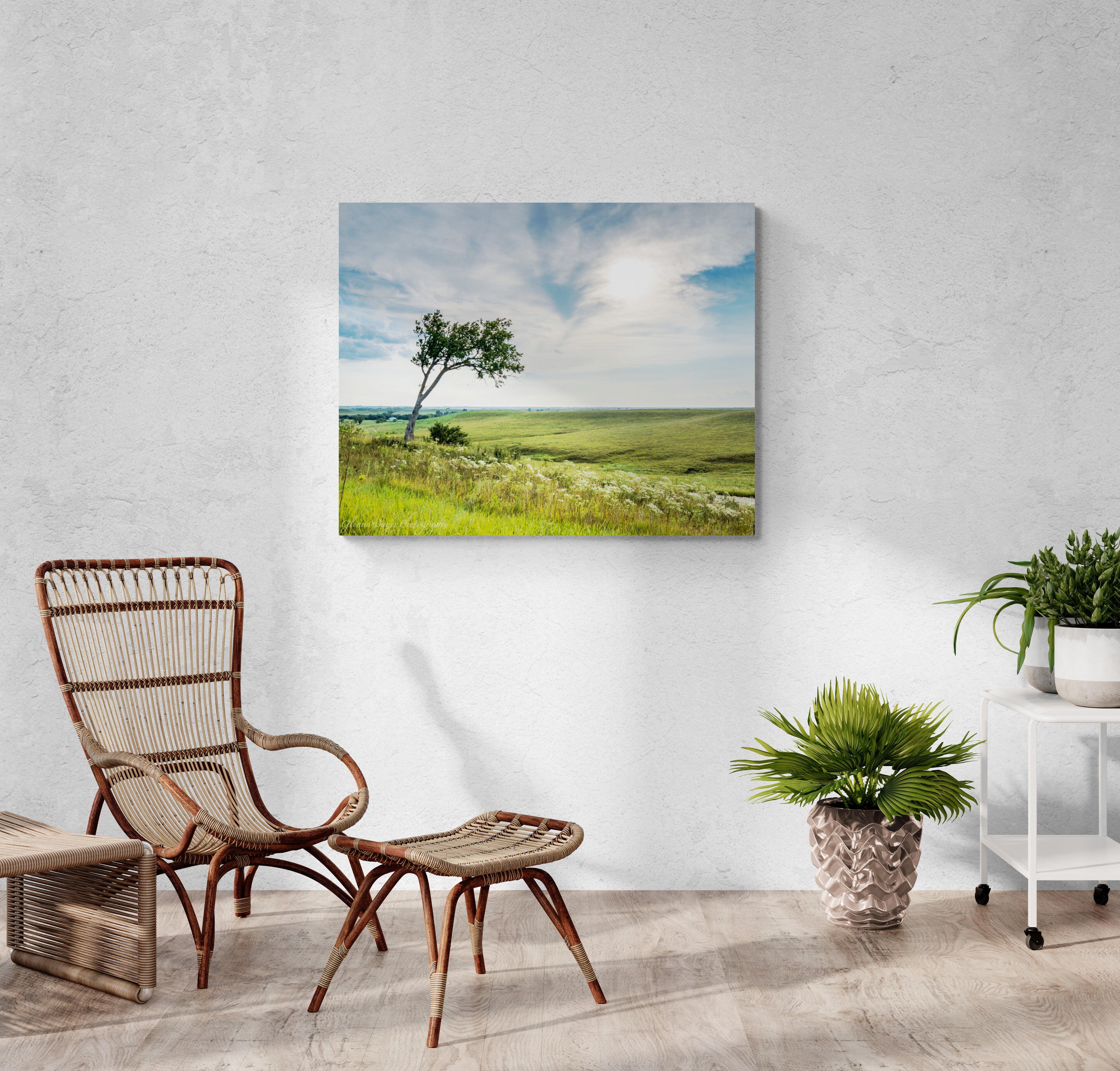 Kansas Grassy Landscape Print | Glenna Bayer Photography