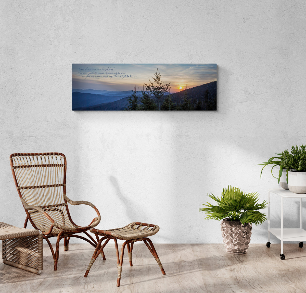 print displayed on wall in living room