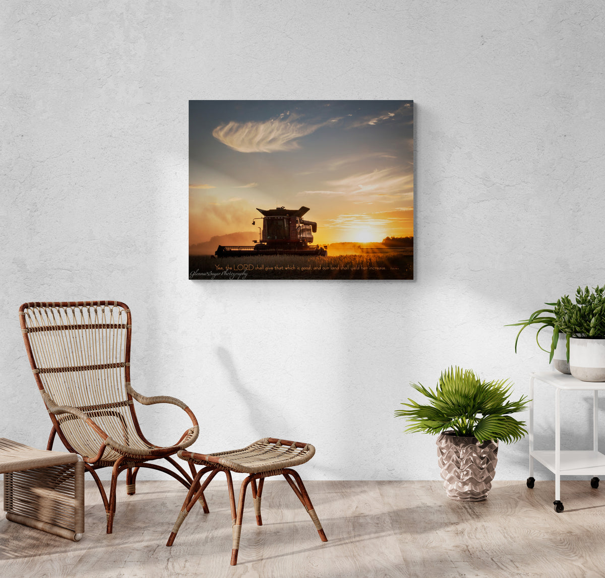 print displayed on wall in living room