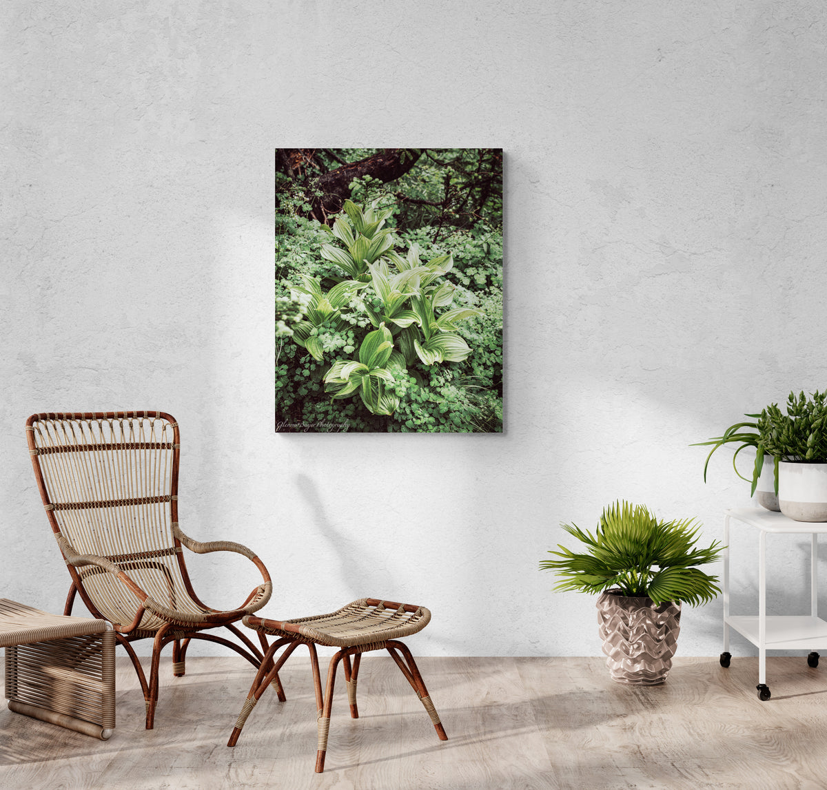 plant displayed on wall