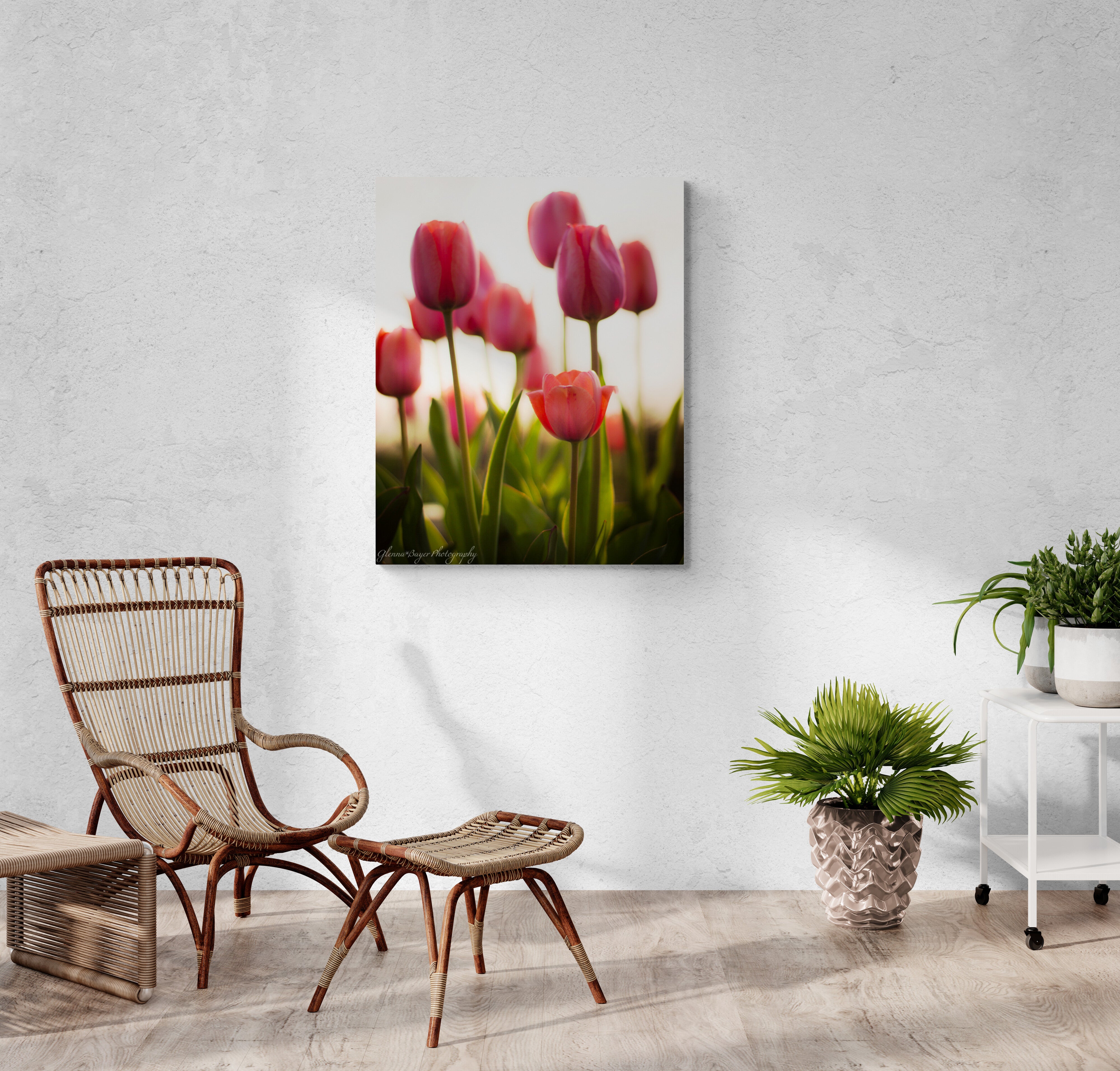 tulipページ Spring Tulips Print | Glenna Bayer Photography