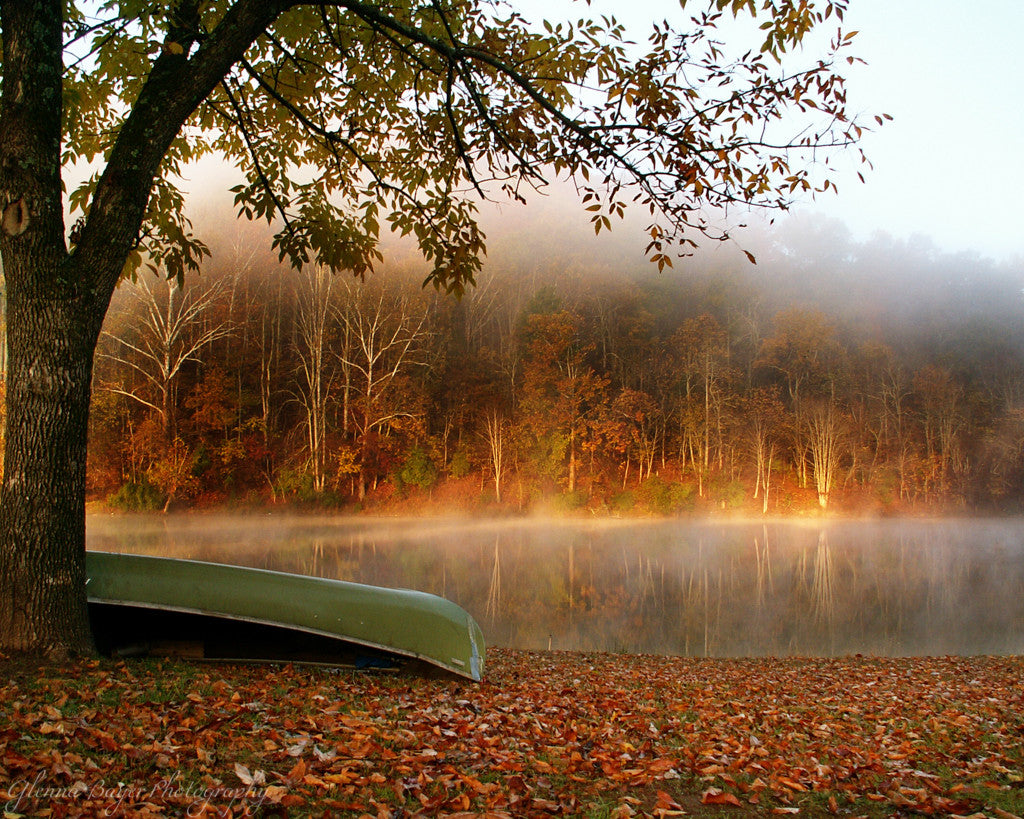 Canoe leaning against tree beside a lake on an autumn day at Beech Fork State Park.