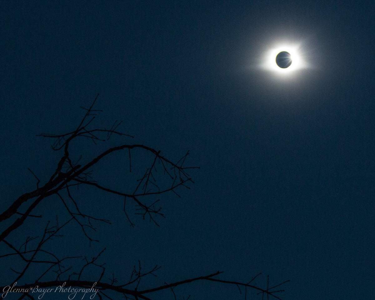 Solar eclipse in the diamond face with tree in foreground