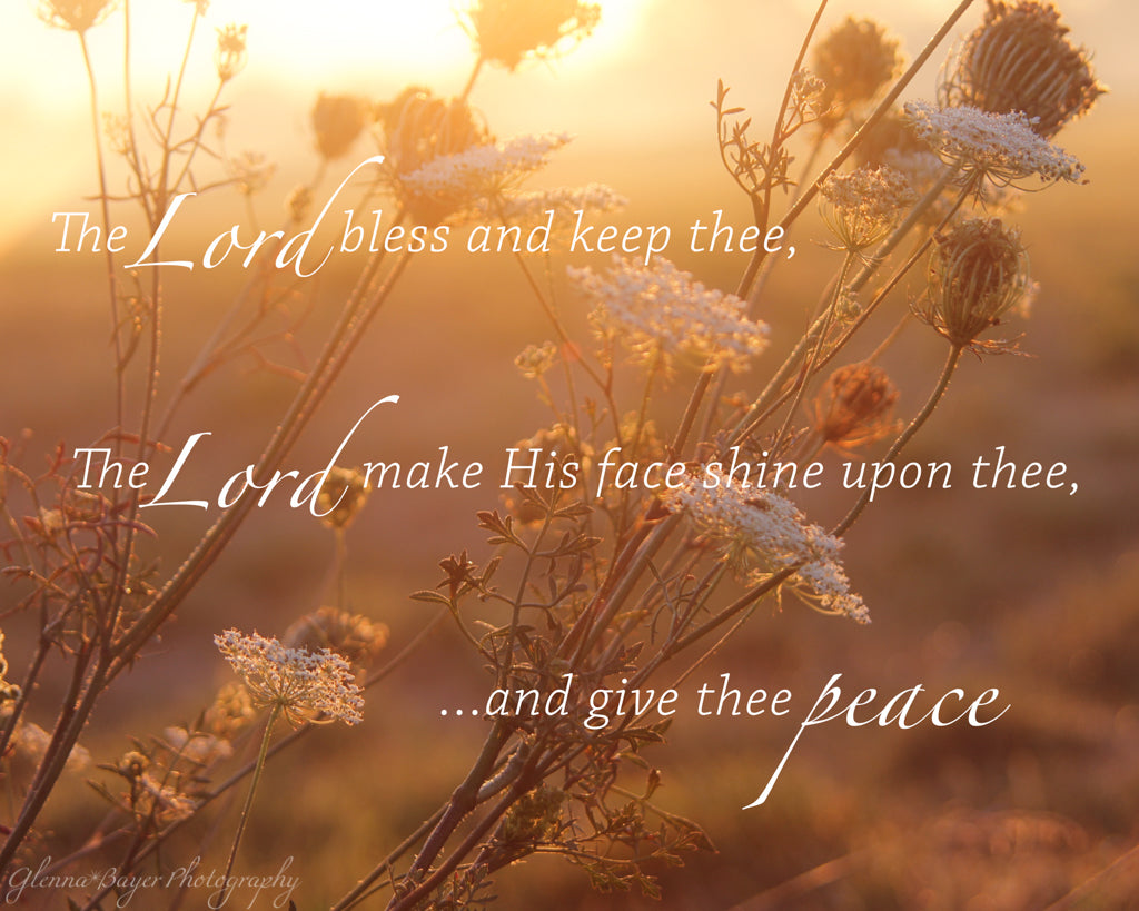Autumn foliage in sunset glow with scripture verse