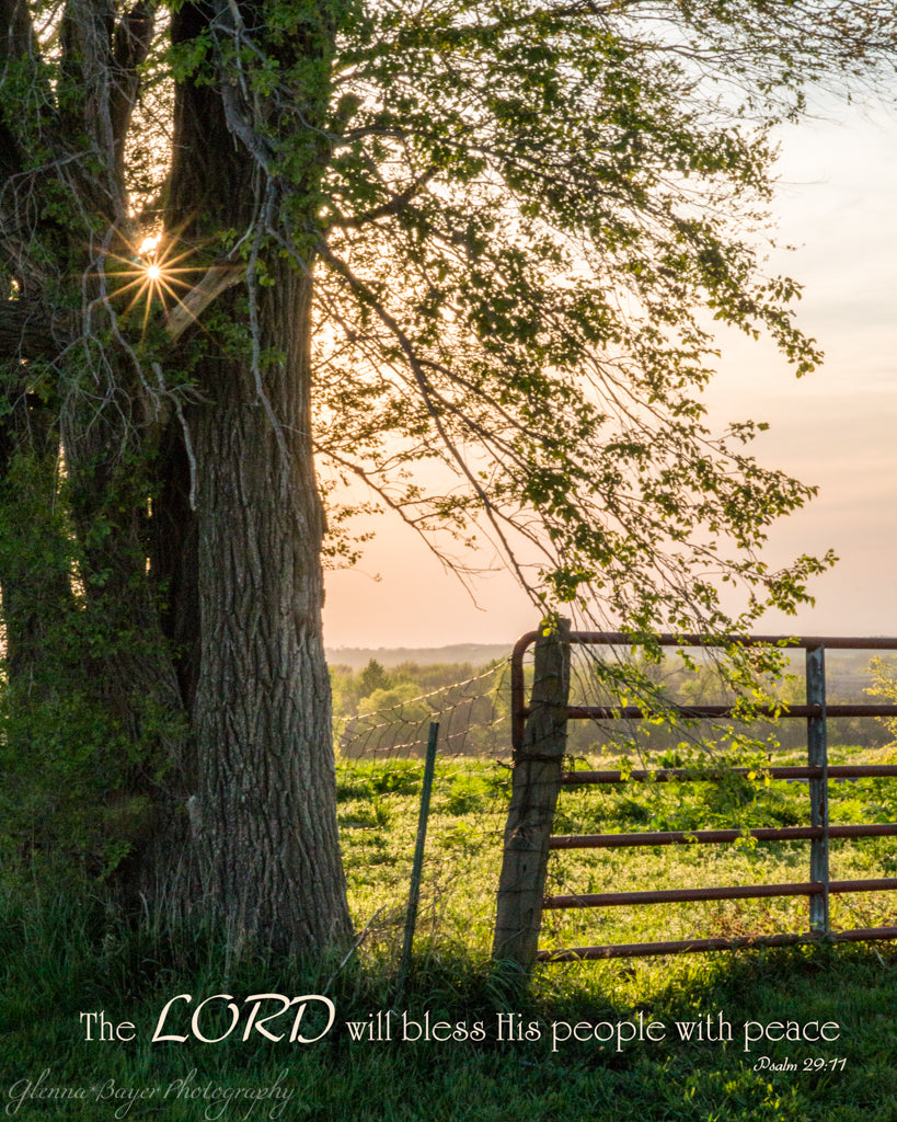 Sunburst through old tree and gate in Kansas with scripture verse