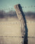 Wood post and barbed wire in Kansas with scripture verse