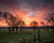 Beautiful pink and yellow sunrise over Kansas landscape