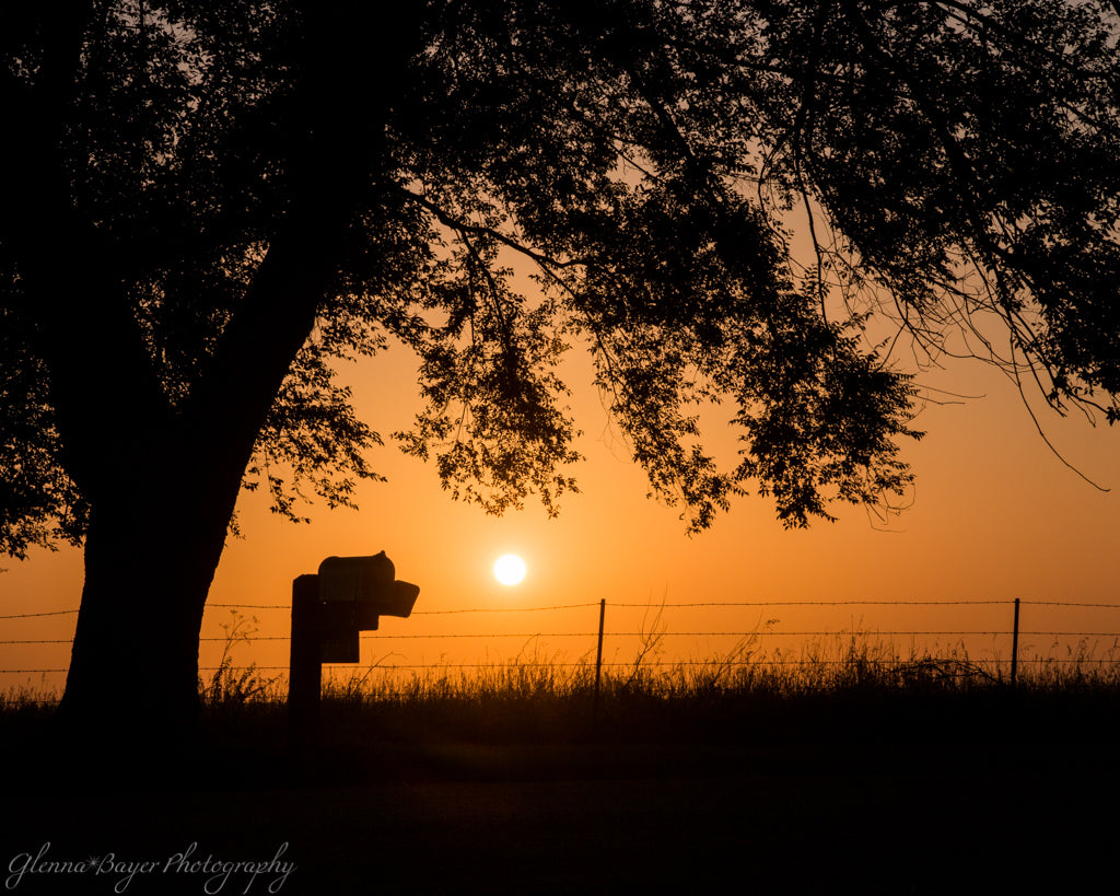 Silhouette of tree and mailbox against an orange sunset in Douglas County, Kansas